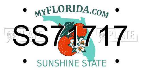 SS71717 Florida License Plate