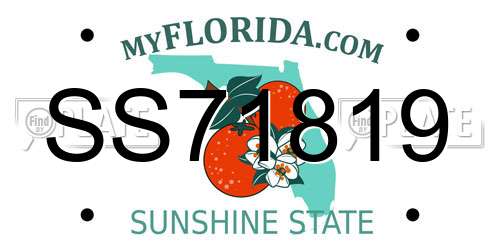 SS71819 Florida License Plate