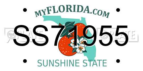 SS71955 Florida License Plate