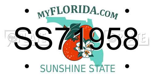 SS71958 Florida License Plate