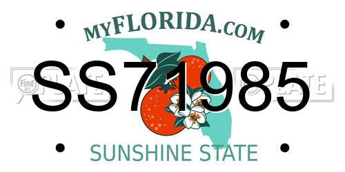 SS71985 Florida License Plate