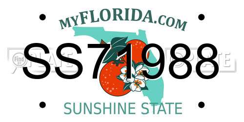 SS71988 Florida License Plate