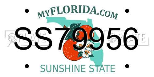 SS79956 Florida License Plate