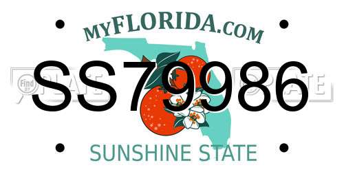 SS79986 Florida License Plate