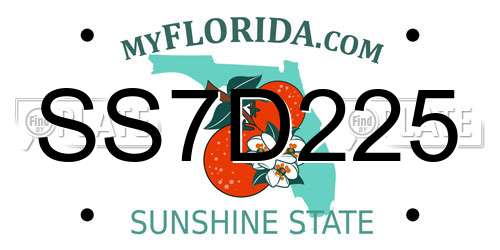 SS7D225 Florida License Plate