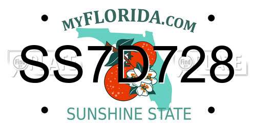SS7D728 Florida License Plate