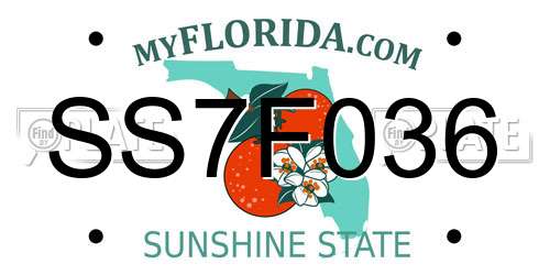SS7F036 Florida License Plate