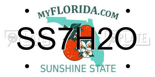 SS7H2O Florida License Plate