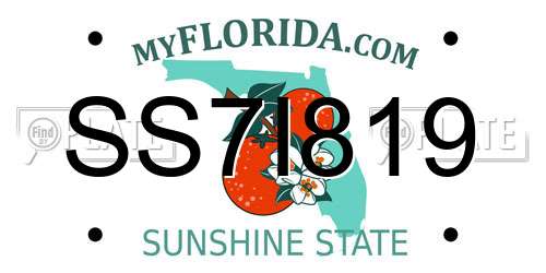 SS7I819 Florida License Plate