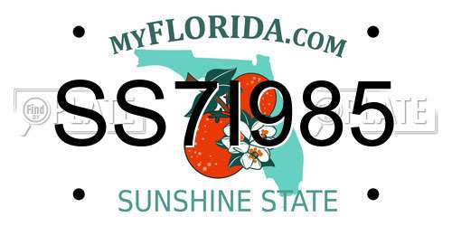 SS7I985 Florida License Plate