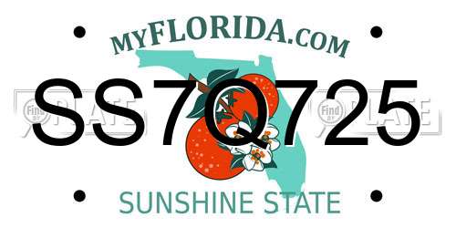SS7Q725 Florida License Plate