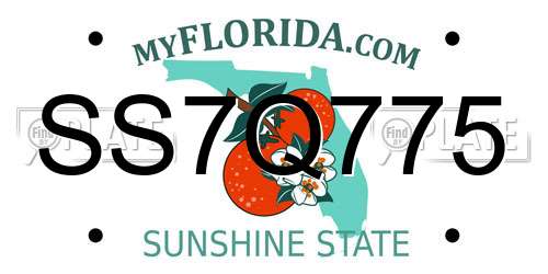 SS7Q775 Florida License Plate