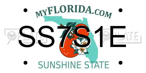 SS7S1E Florida License Plate