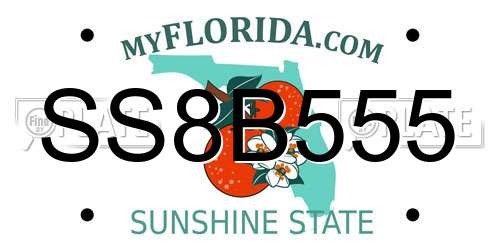 SS8B555 Florida License Plate