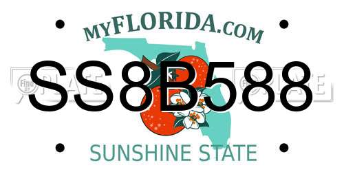 SS8B588 Florida License Plate