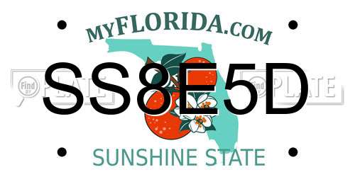 SS8E5D Florida License Plate