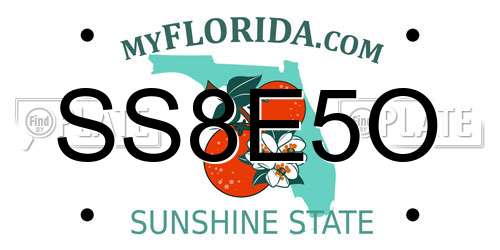 SS8E5O Florida License Plate