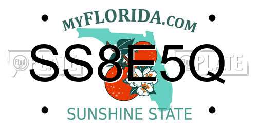 SS8E5Q Florida License Plate