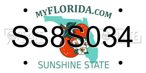 SS8S034 Florida License Plate