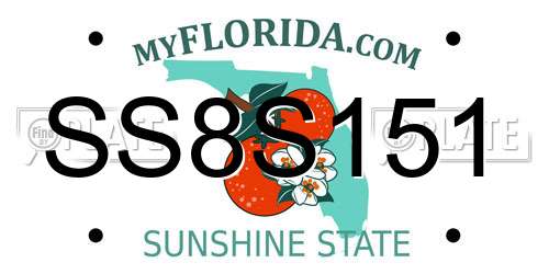 SS8S151 Florida License Plate