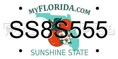 SS8S555 Florida License Plate