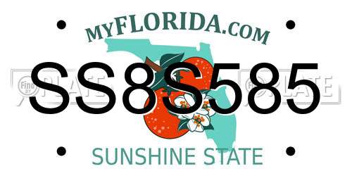 SS8S585 Florida License Plate