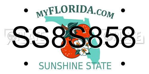 SS8S858 Florida License Plate