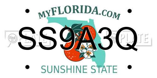 SS9A3Q Florida License Plate