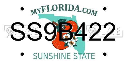 SS9B422 Florida License Plate