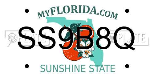 SS9B8Q Florida License Plate
