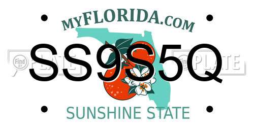 SS9S5Q Florida License Plate