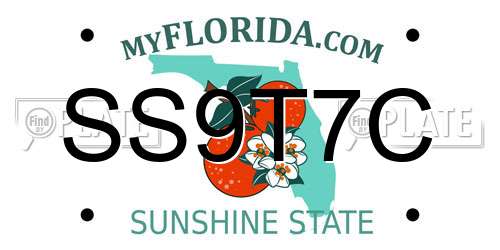 SS9T7C Florida License Plate