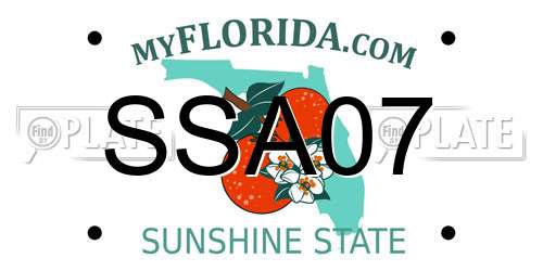 SSA07 Florida License Plate