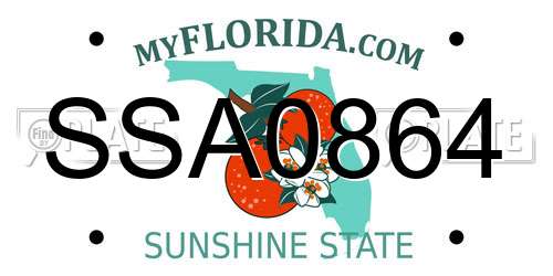 SSA0864 Florida License Plate