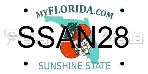 SSAN28 Florida License Plate