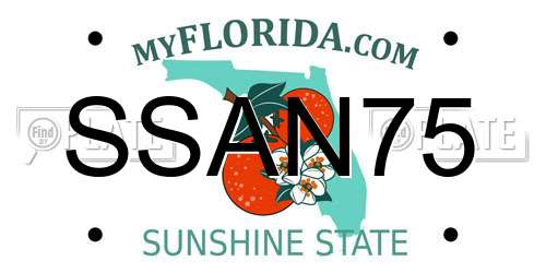 SSAN75 Florida License Plate