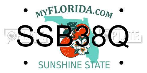 SSB38Q Florida License Plate