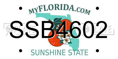 SSB4602 Florida License Plate