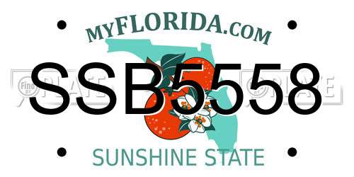 SSB5558 Florida License Plate