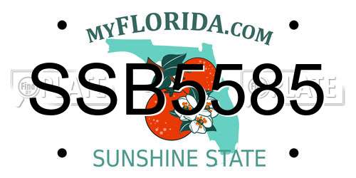 SSB5585 Florida License Plate