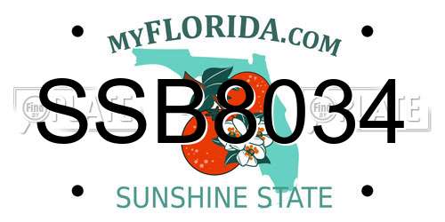 SSB8034 Florida License Plate