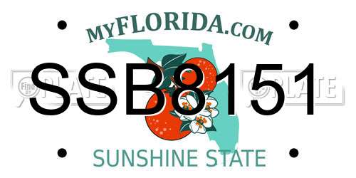 SSB8151 Florida License Plate
