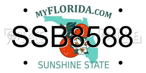SSB8588 Florida License Plate