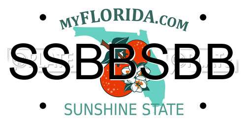 SSBBSBB Florida License Plate