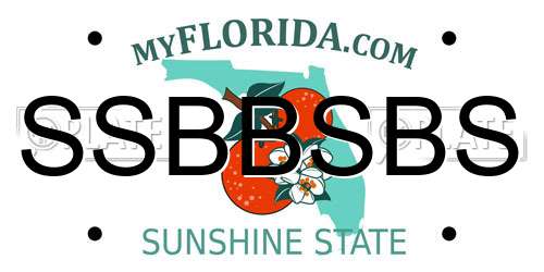 SSBBSBS Florida License Plate