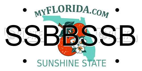 SSBBSSB Florida License Plate