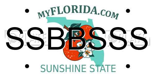 SSBBSSS Florida License Plate