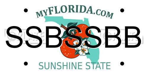 SSBSSBB Florida License Plate