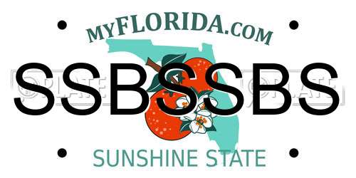 SSBSSBS Florida License Plate