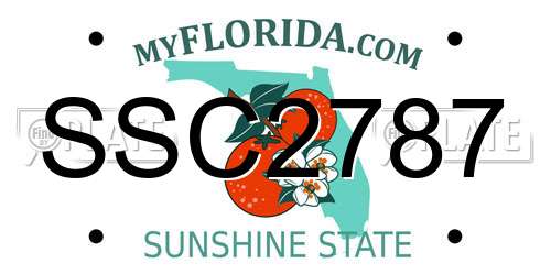 SSC2787 Florida License Plate